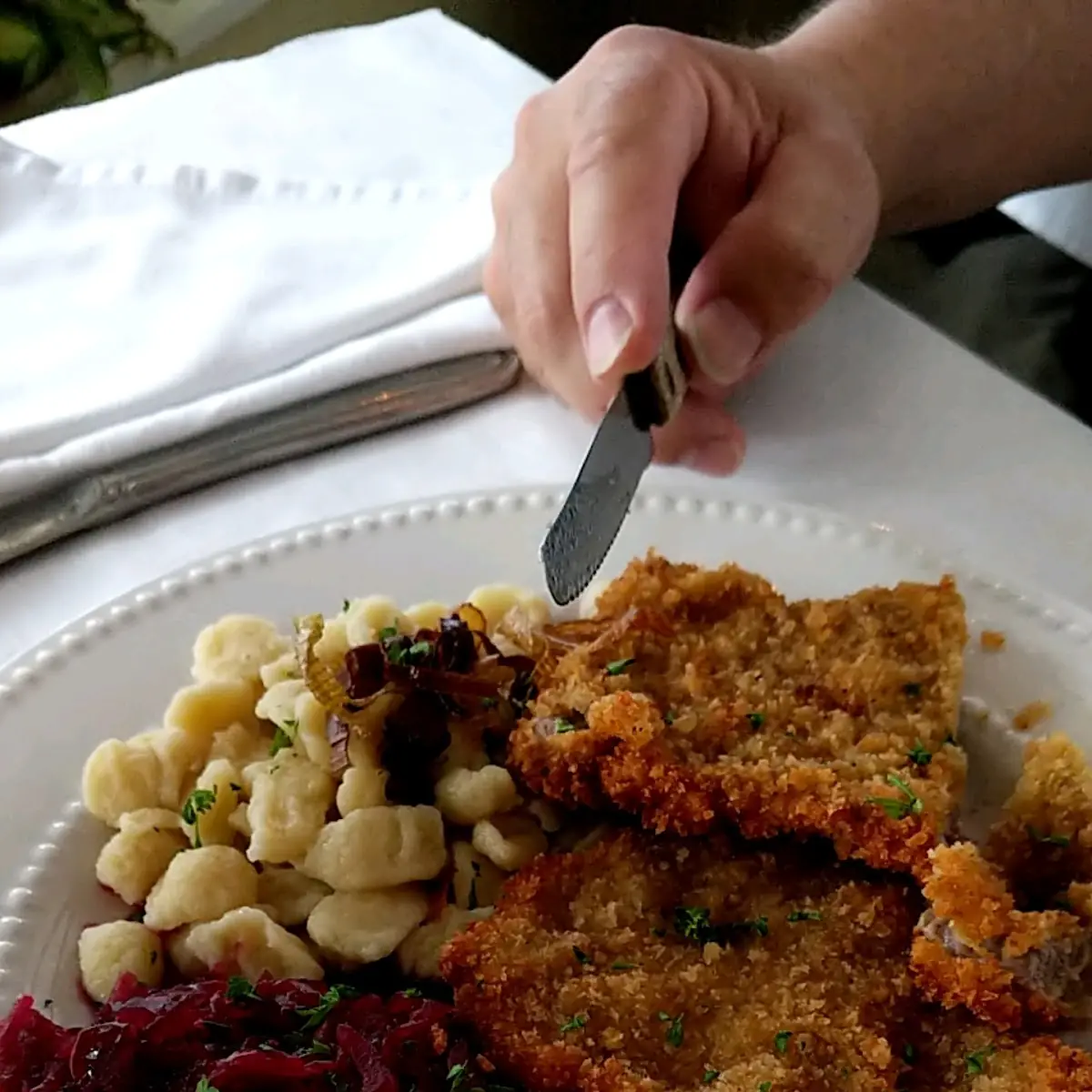 Chicken Schnitzel