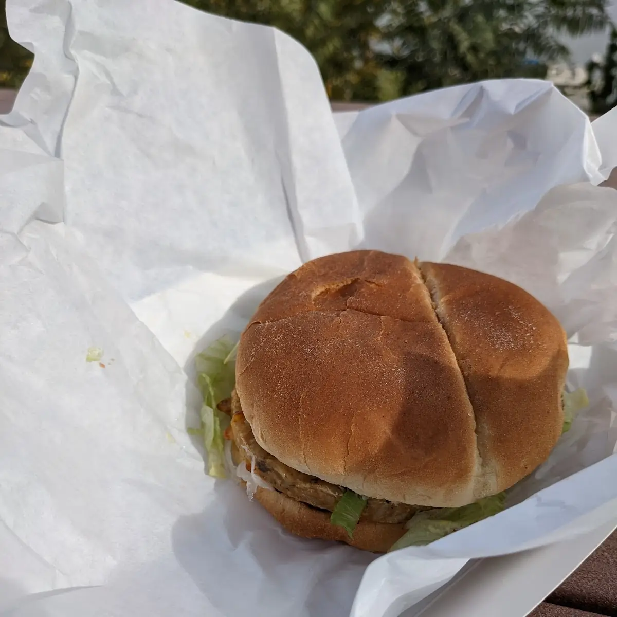 Veggie Burger