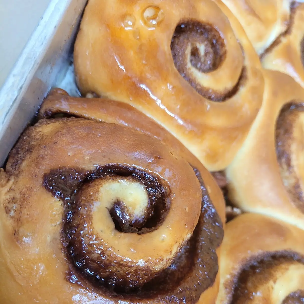Cinnamon Roll