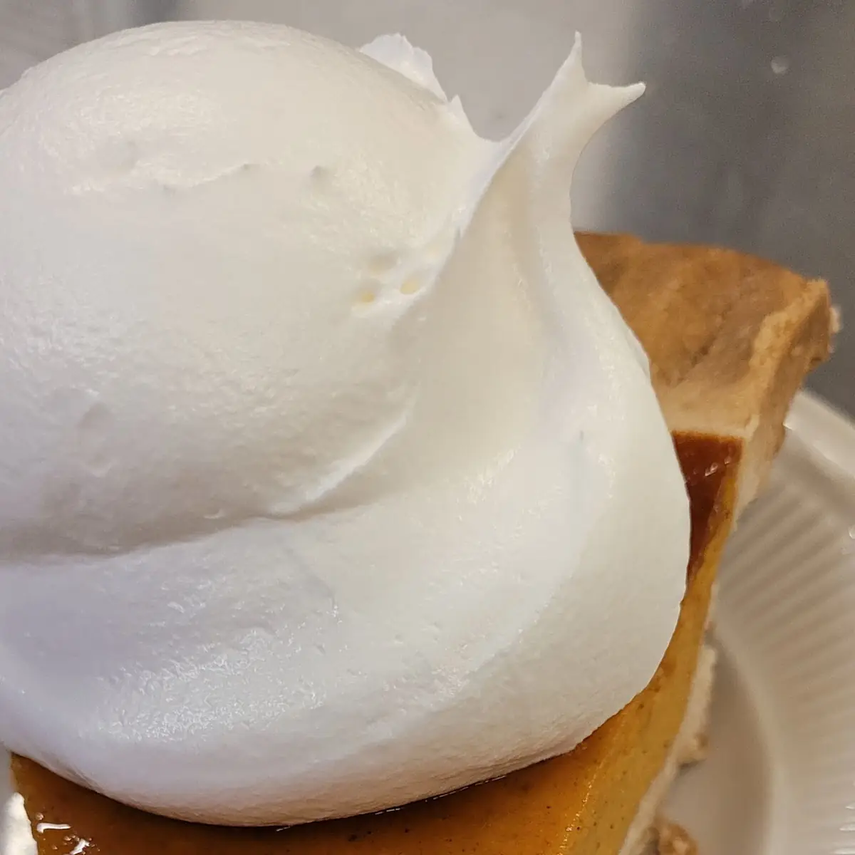 Slice of Sweet Potato Pie