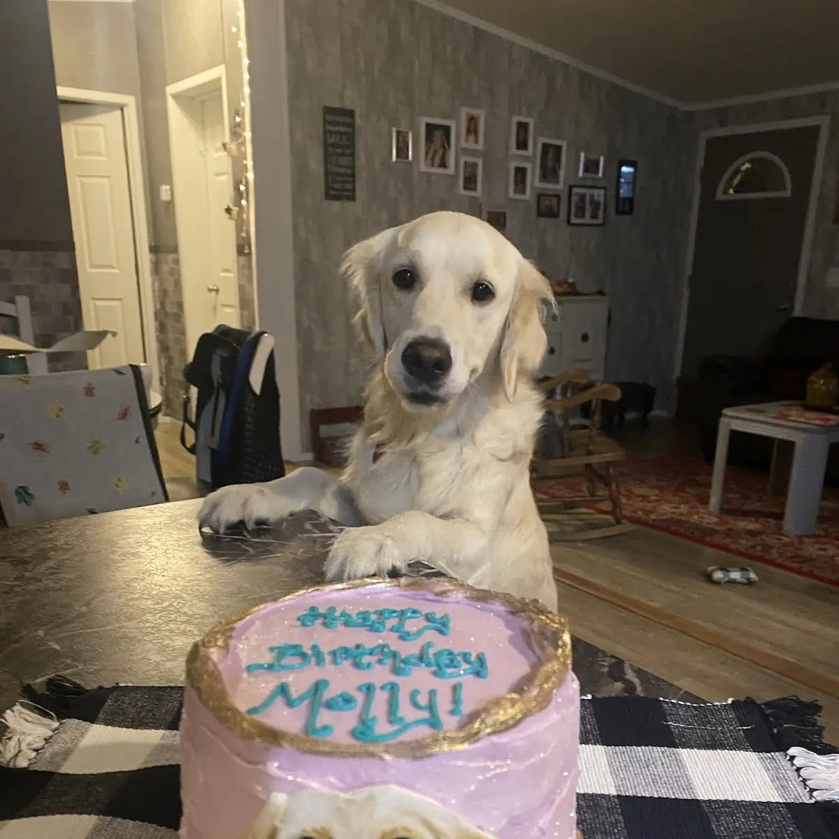 Birthday Cake