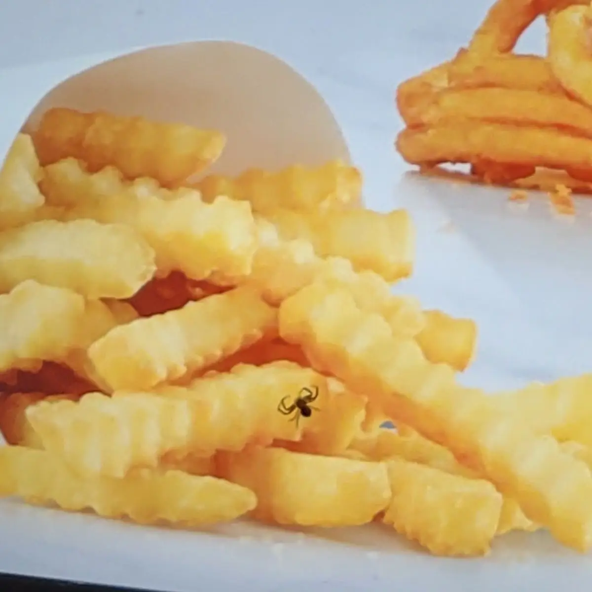 Crinkle Cut Fries