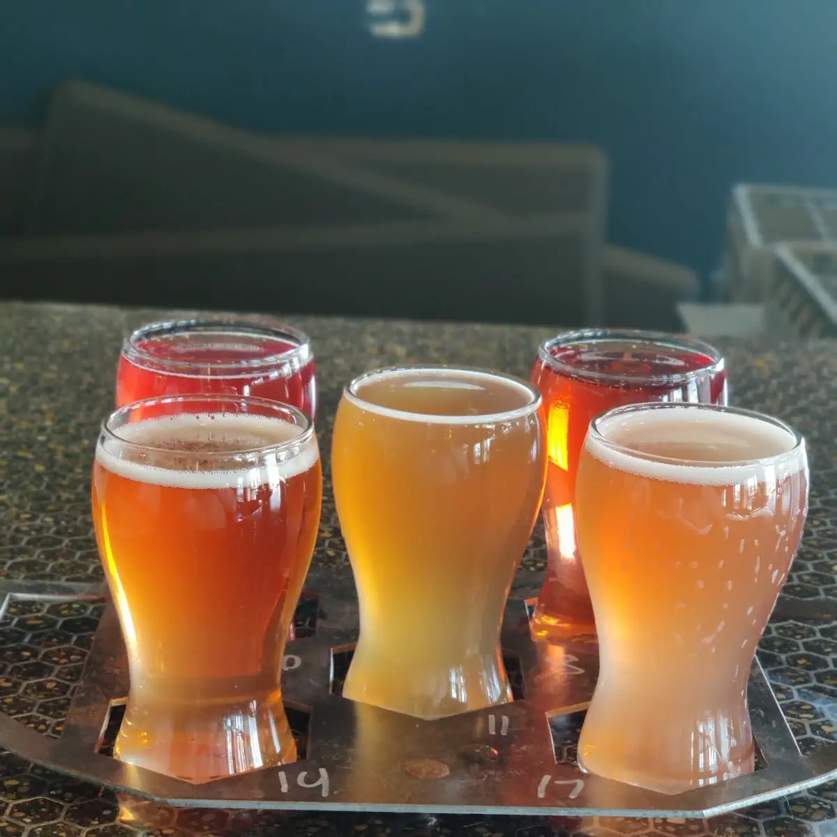 Beer Flight