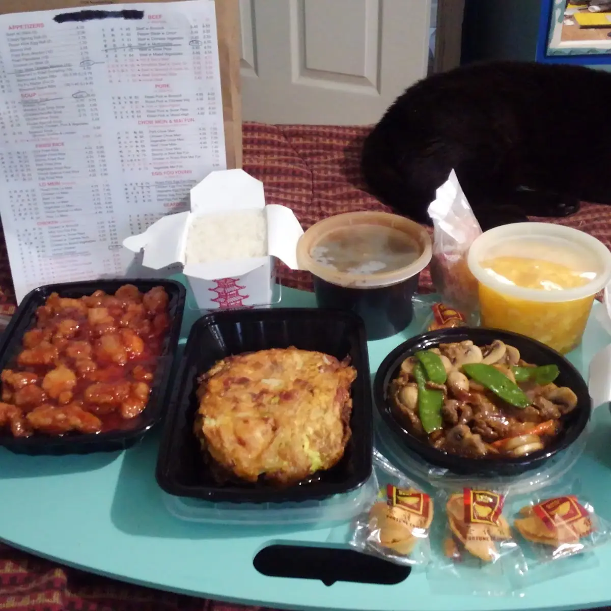 Egg Foo Young Orange Chicken Beef with Mixed Vegetables Pork Egg Rolls Egg Drop Soup