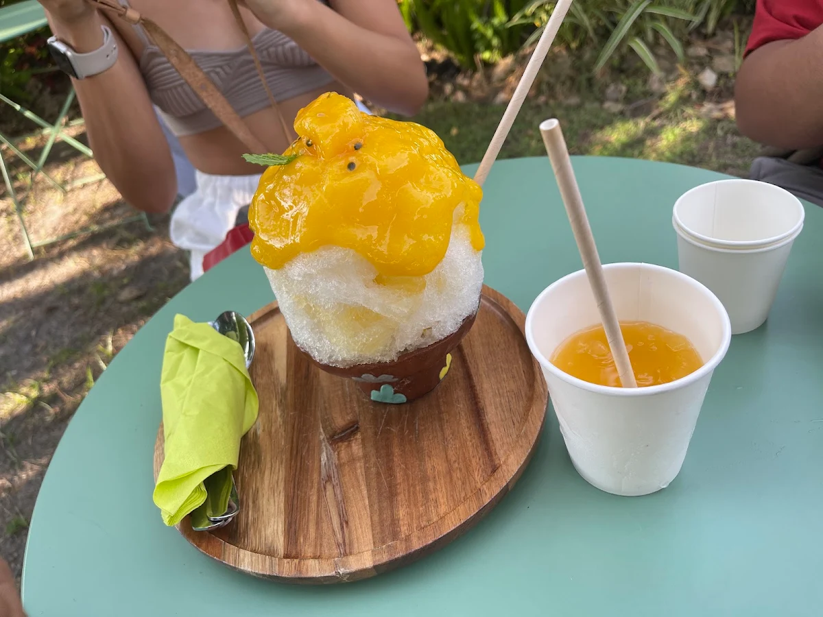Mango Mint and Mango Slush
