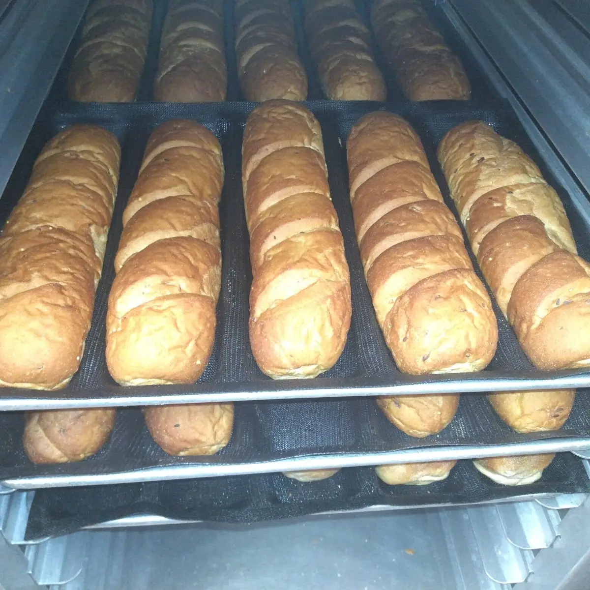 9 Grain Wheat Bread