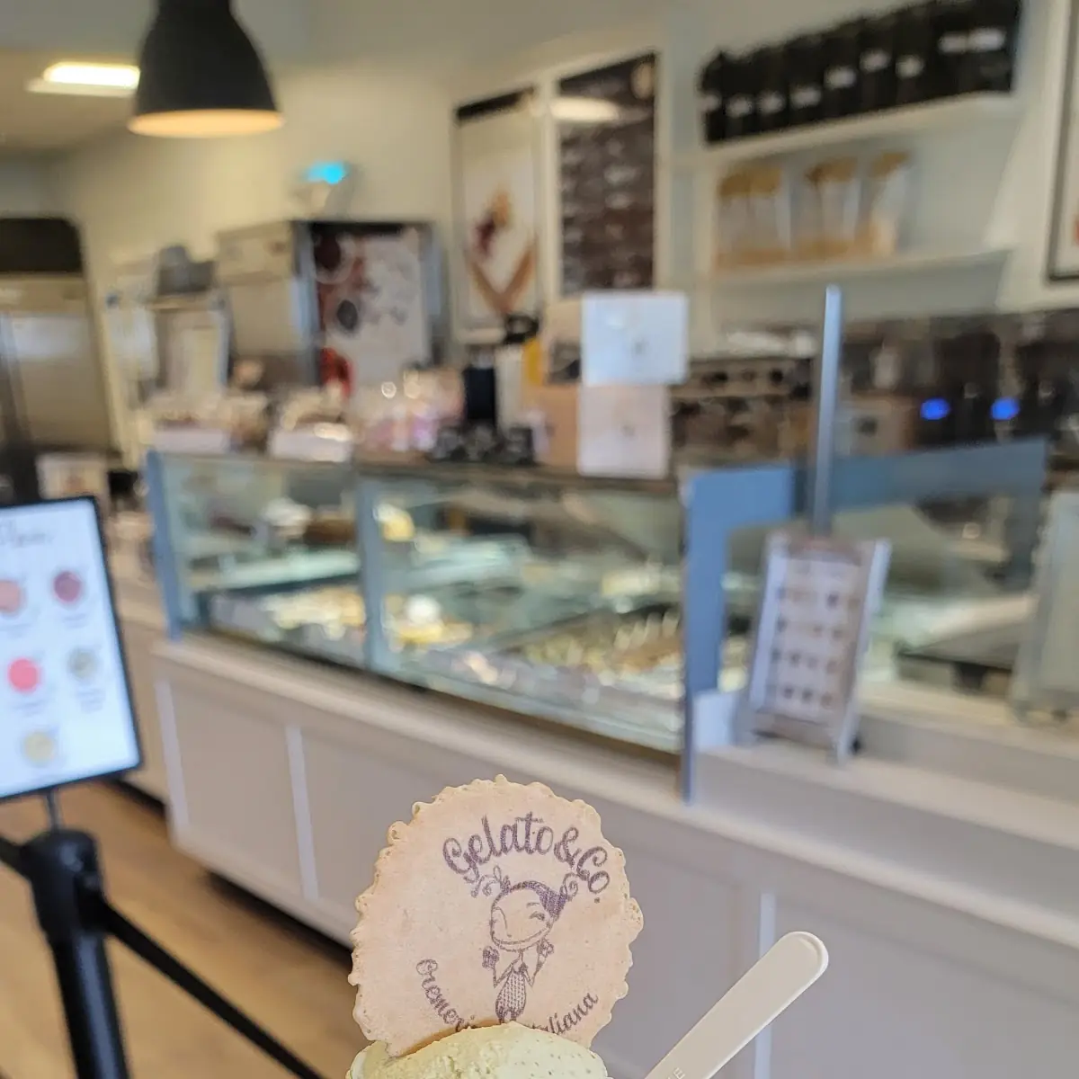 Pistachio and Vanilla Ice Cream