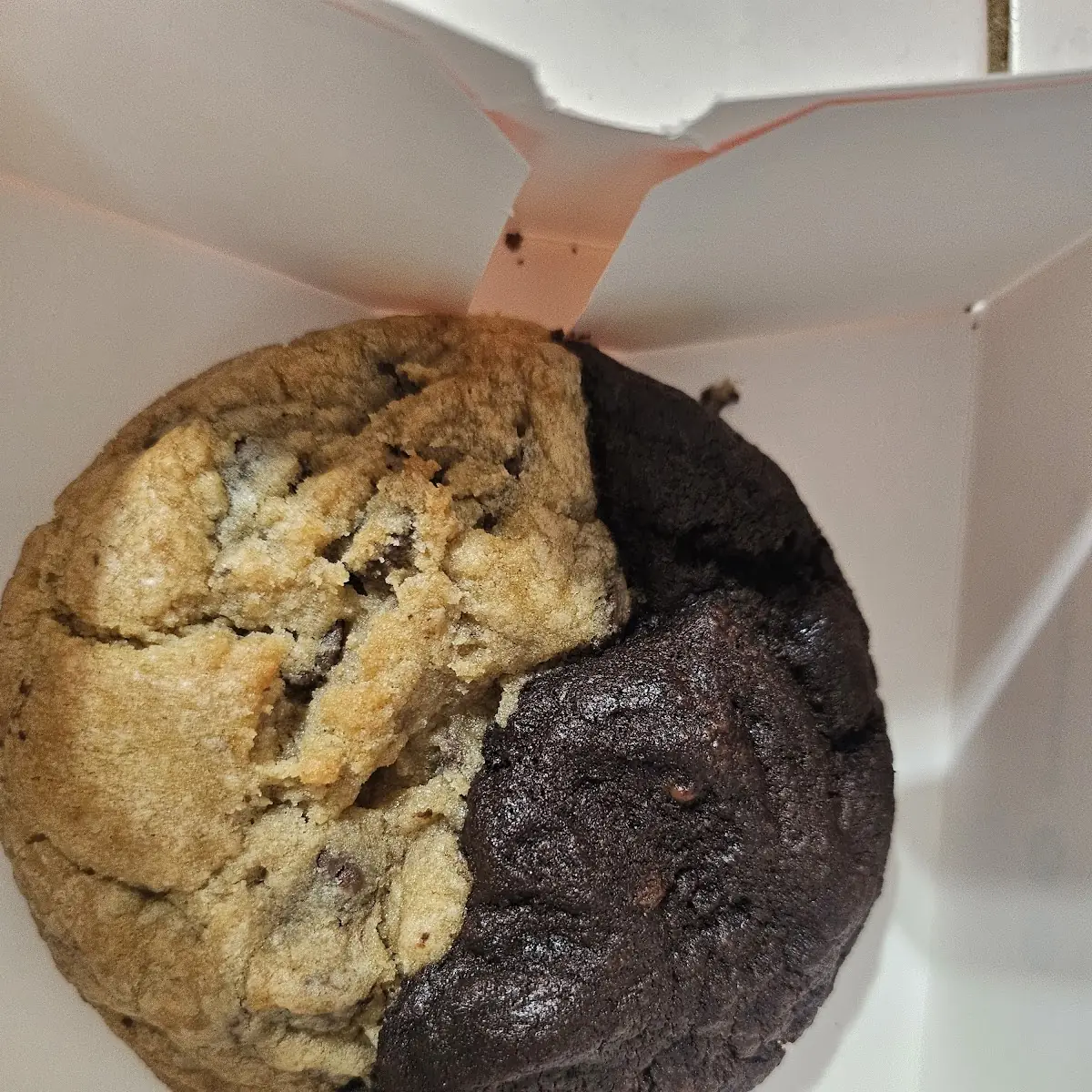 Blueberry Muffin