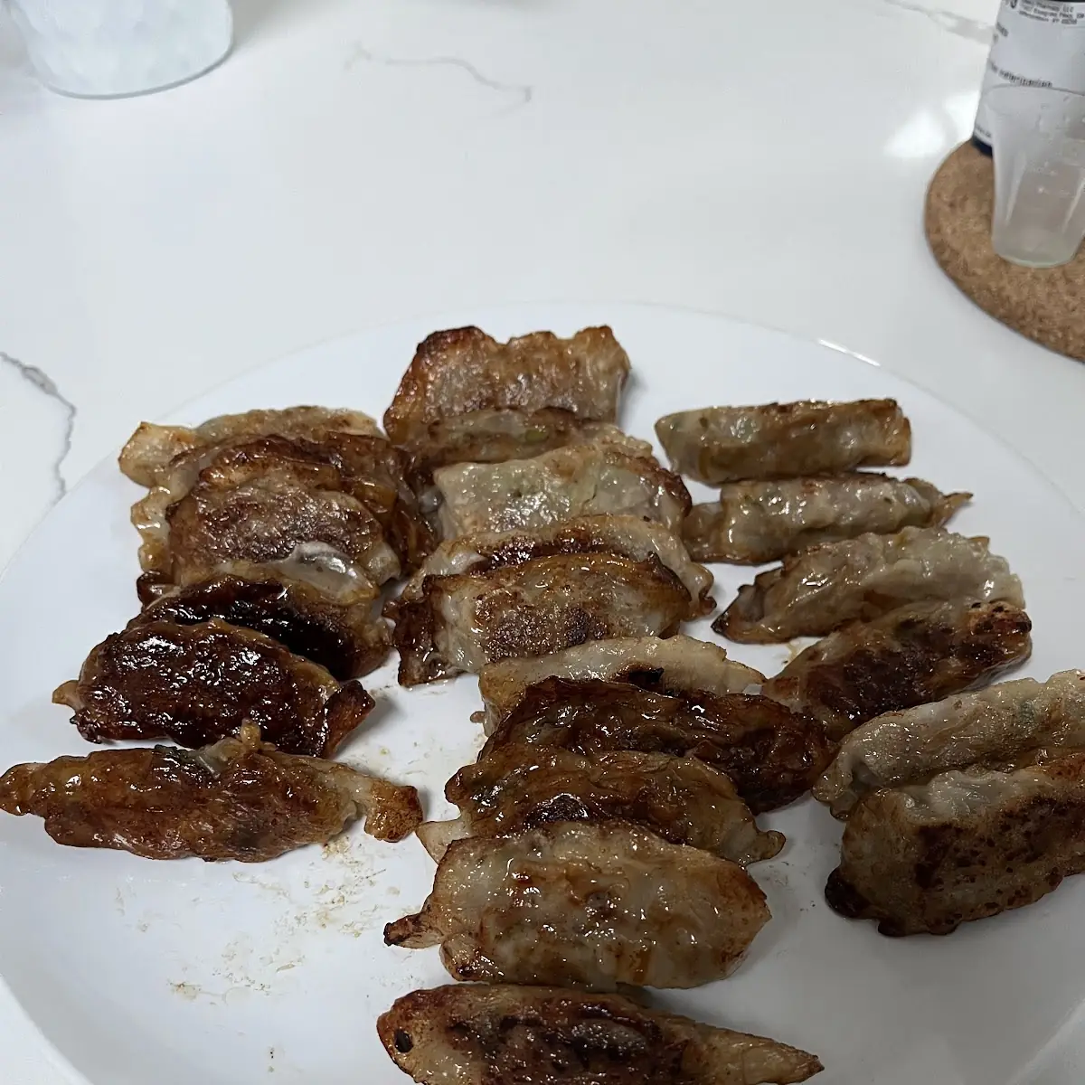 Pan Fried Dumplings