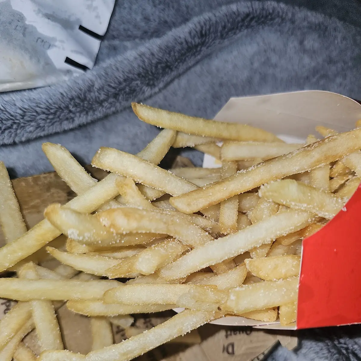 World Famous Fries