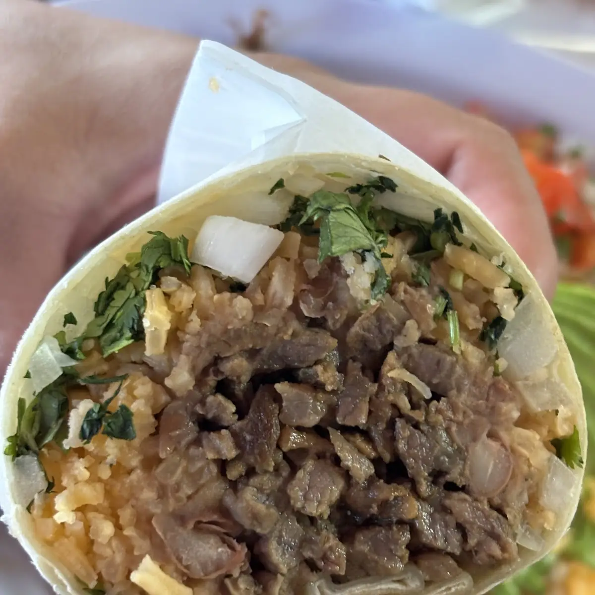 Carne Asada Burrito
