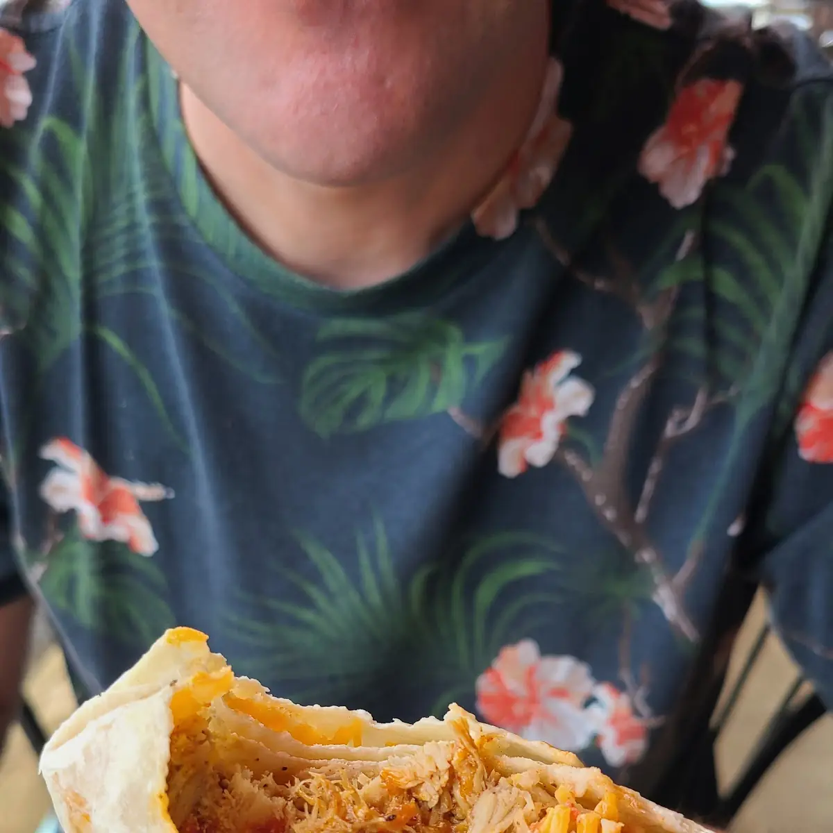 Shredded Chicken Short Board