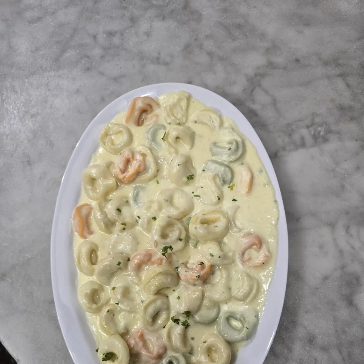 Tortellini Alfredo