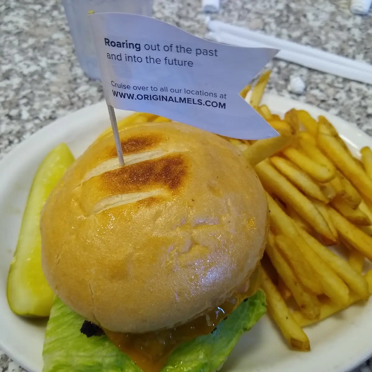 Cheese Burger with Fries