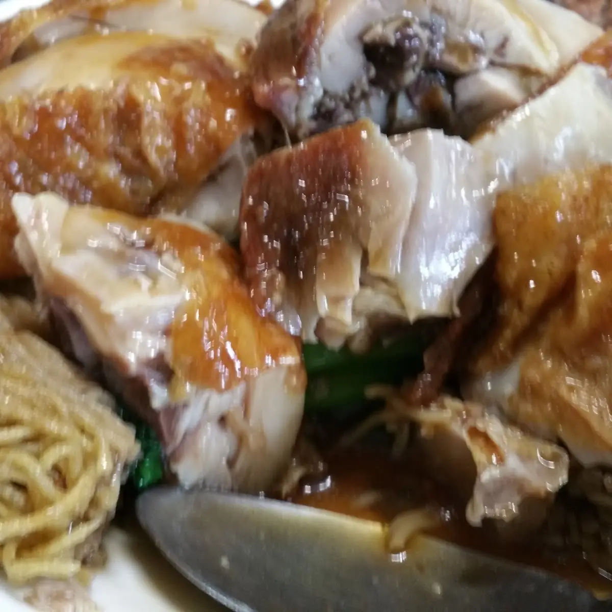 Steamed Chicken with Mushroom Sauce