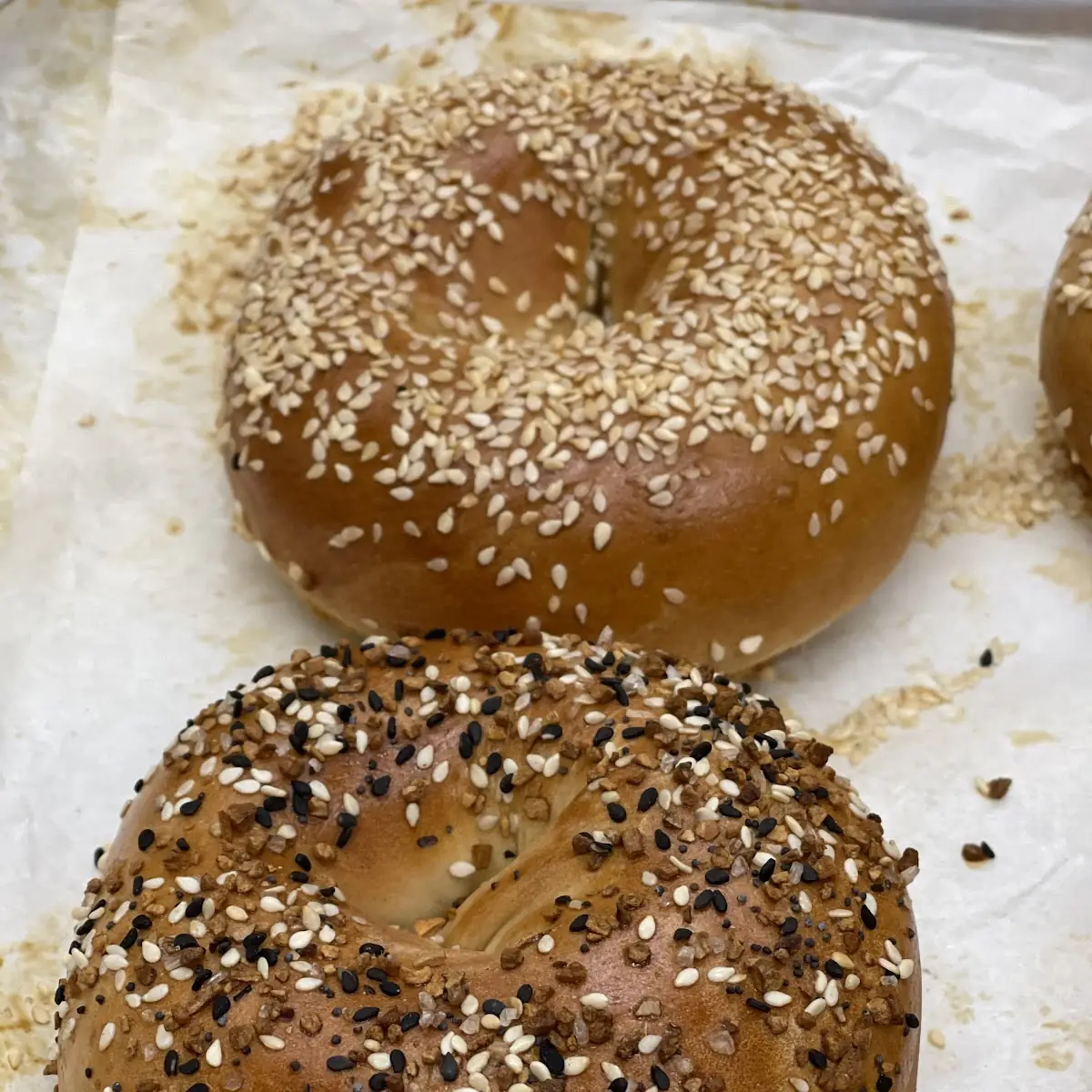Everything Bagel and Sesame Bagel