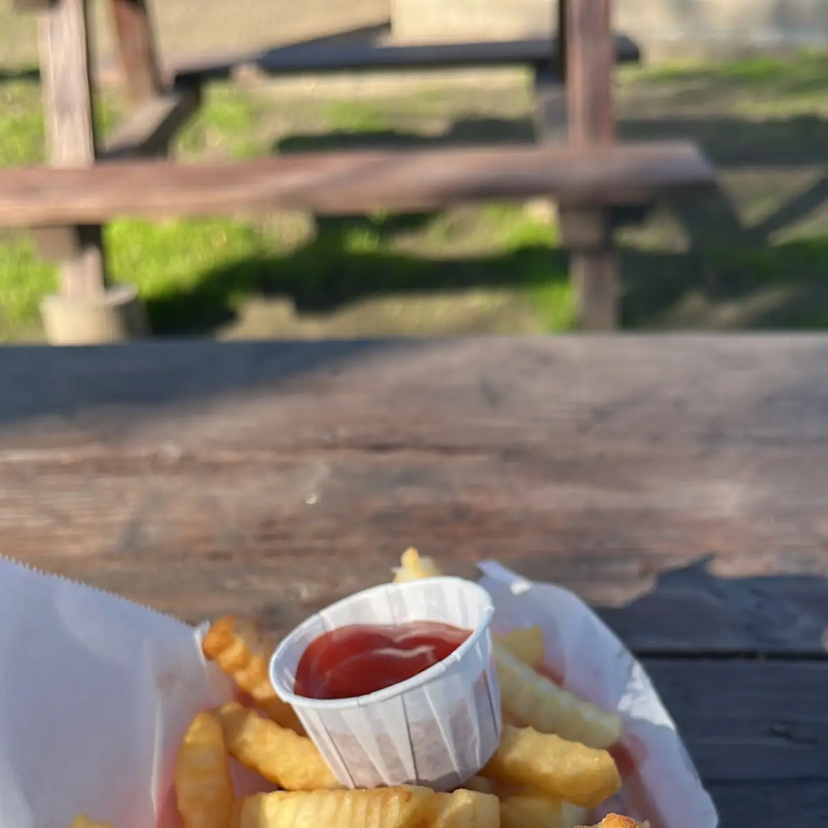 Burger with Fries