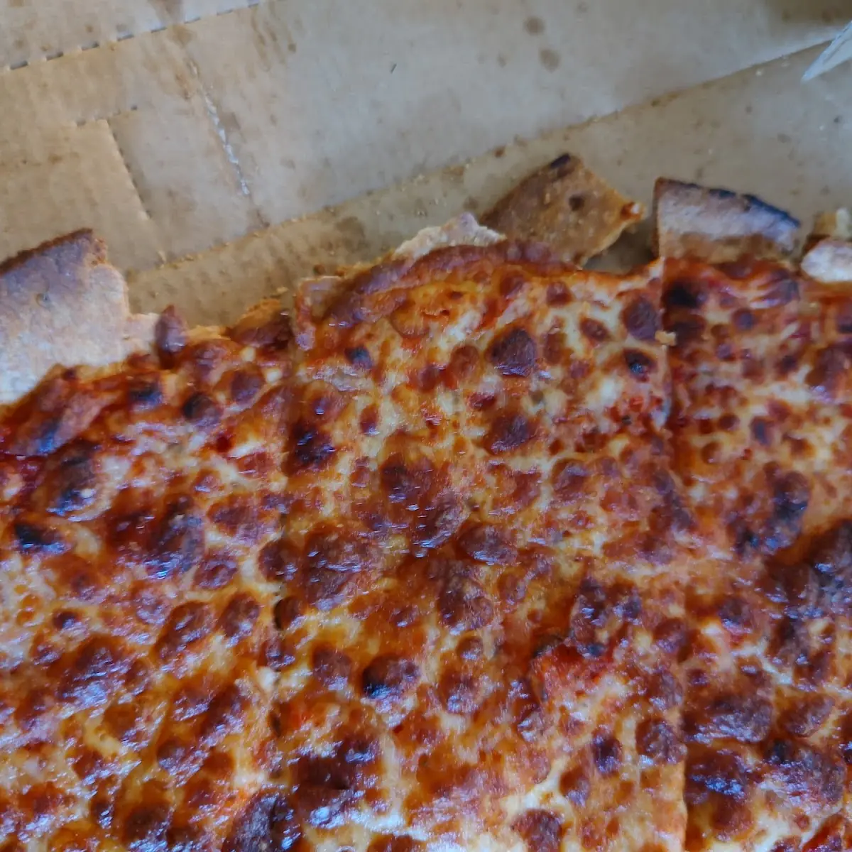 Burnt Thin Crust Cheese Pizza