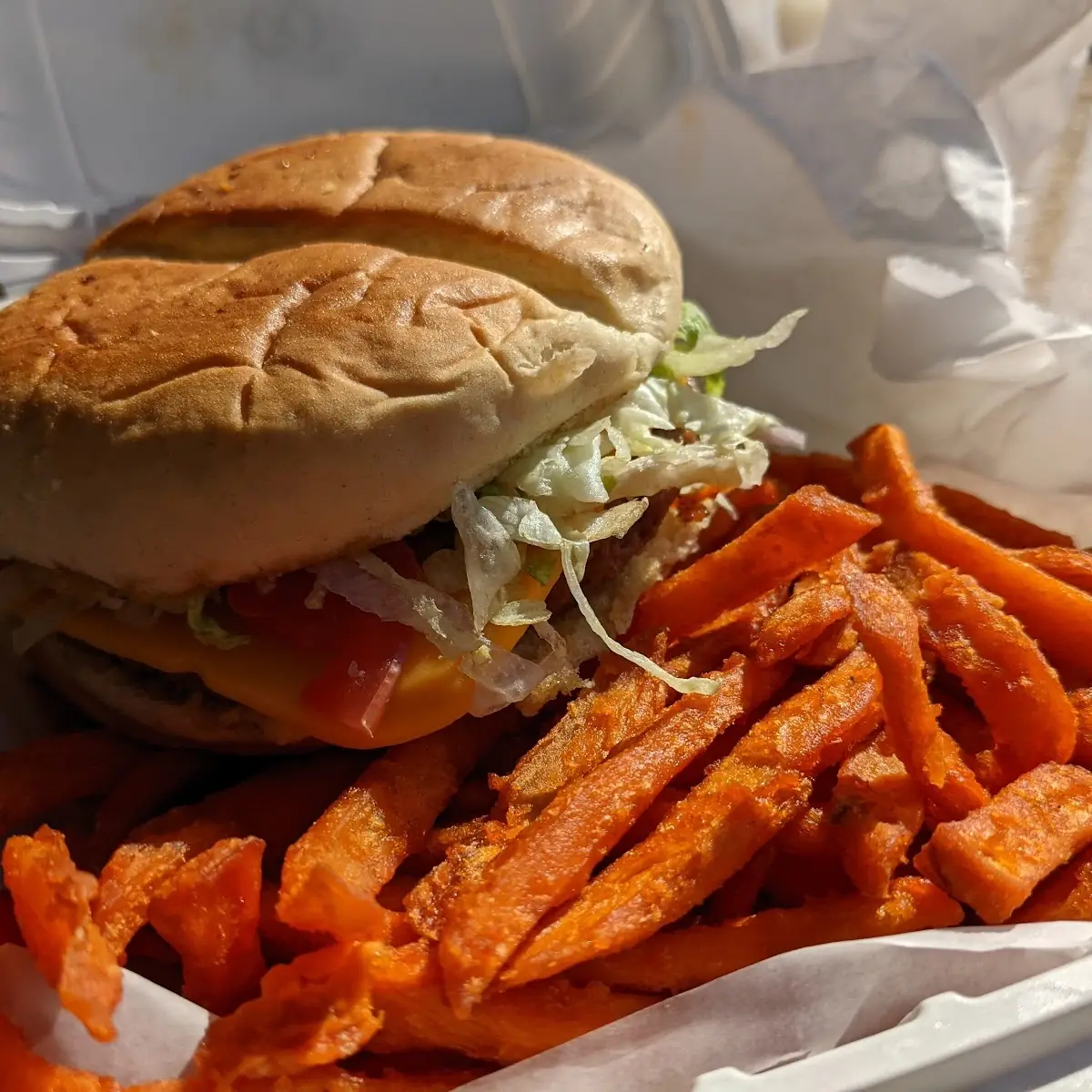 Veggie Burger and Fries