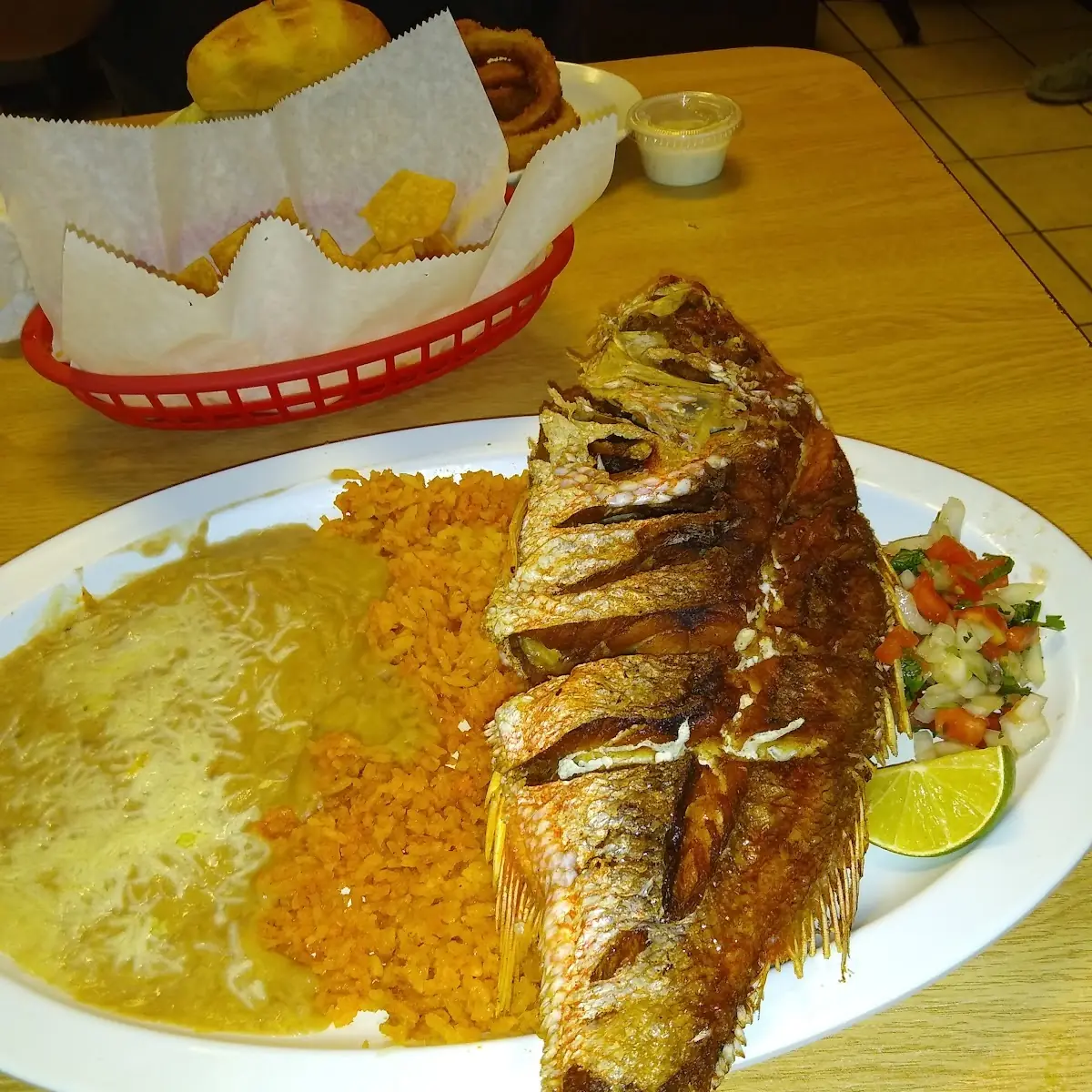 Red Snapper