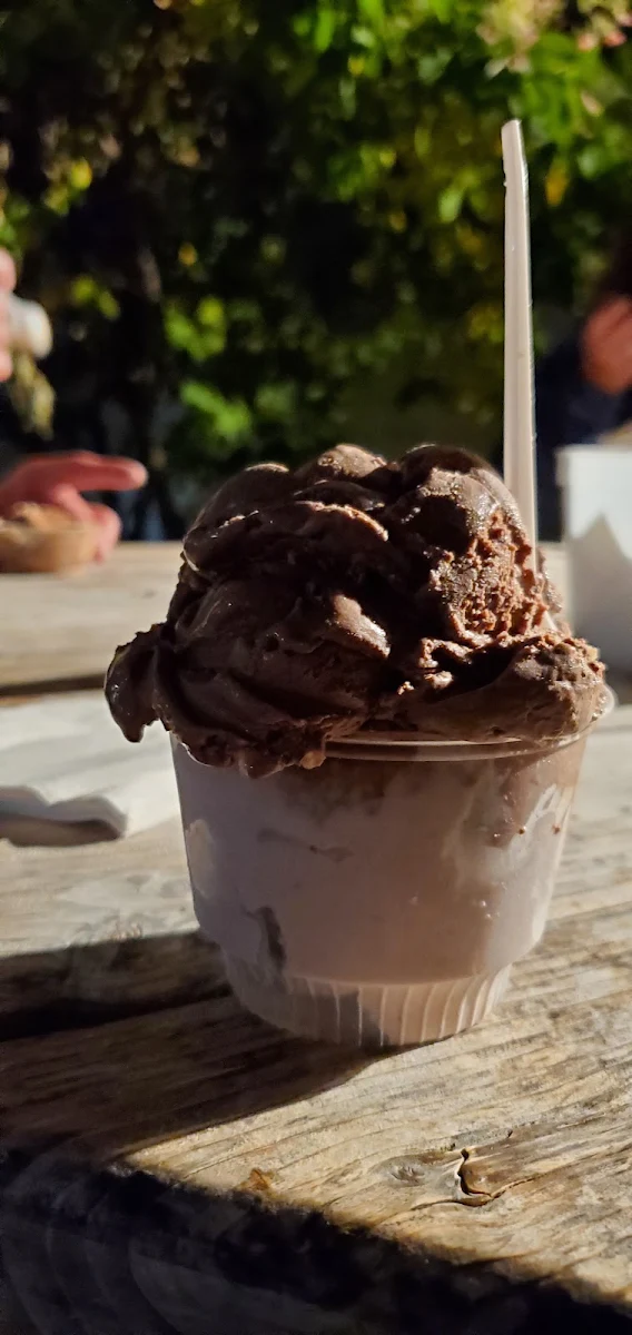 Chocolate Fudge and Black Raspberry