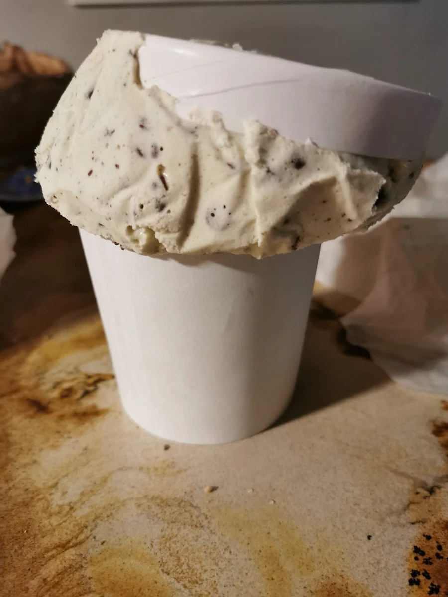Mint Chocolate Chip Ice Cream