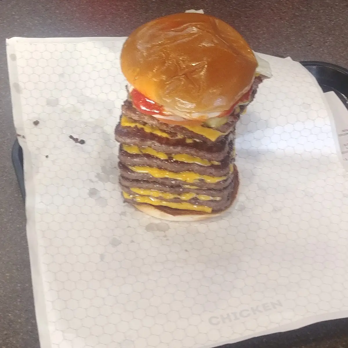 Trex Burger and Fries with Cheese
