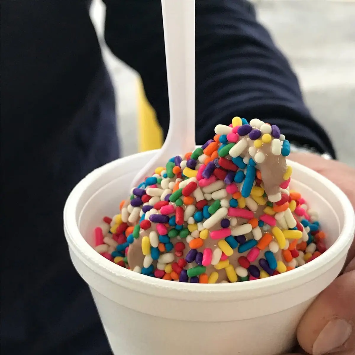Ice Cream Soft Serve