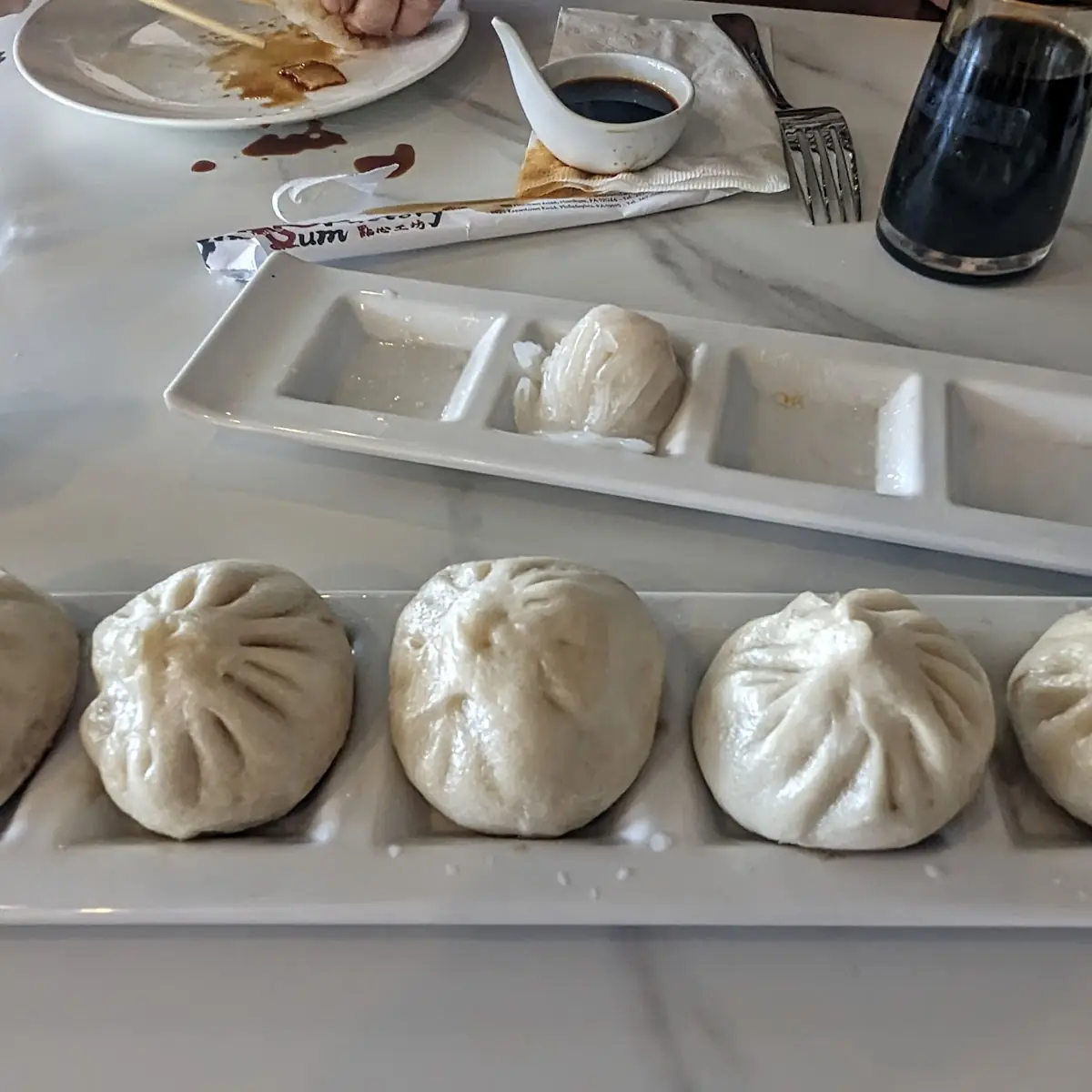 Pan Fried Pork Dumplings