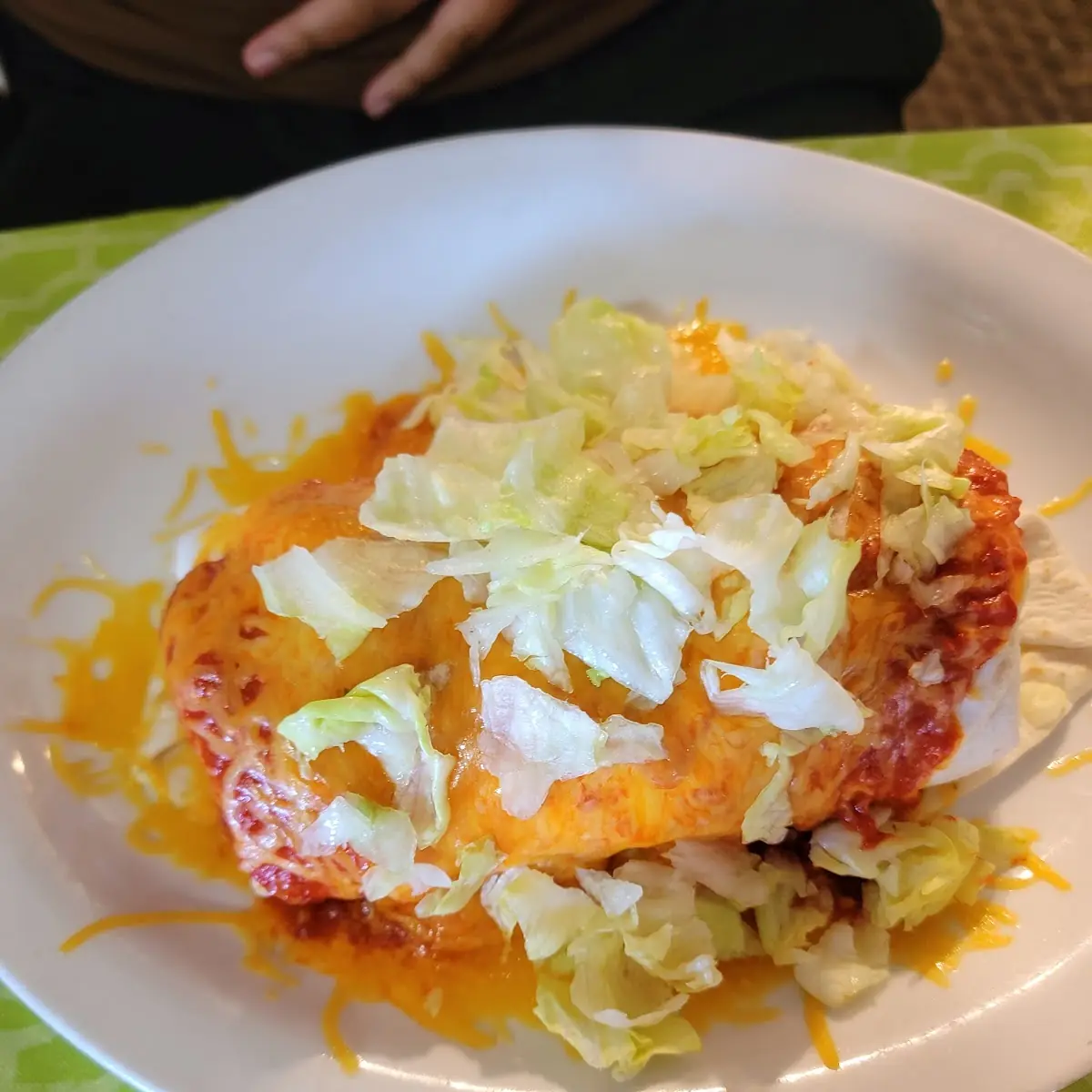 Chicken Enchiladas with Red Chili Sauce