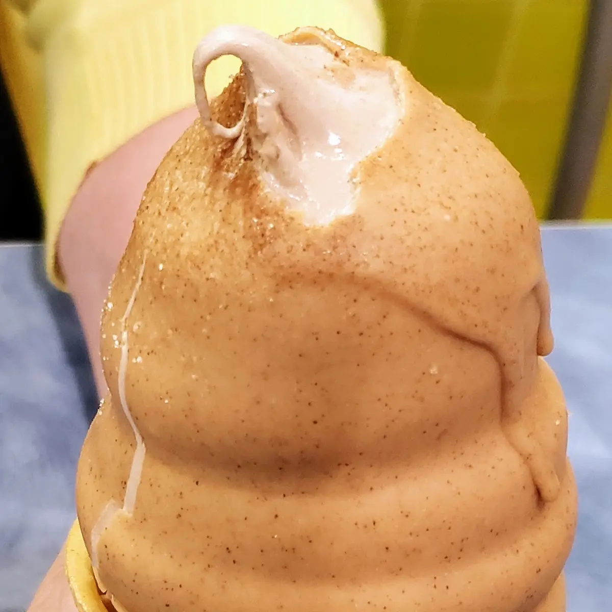 Churro Dipped Cone with Chocolate Ice Cream