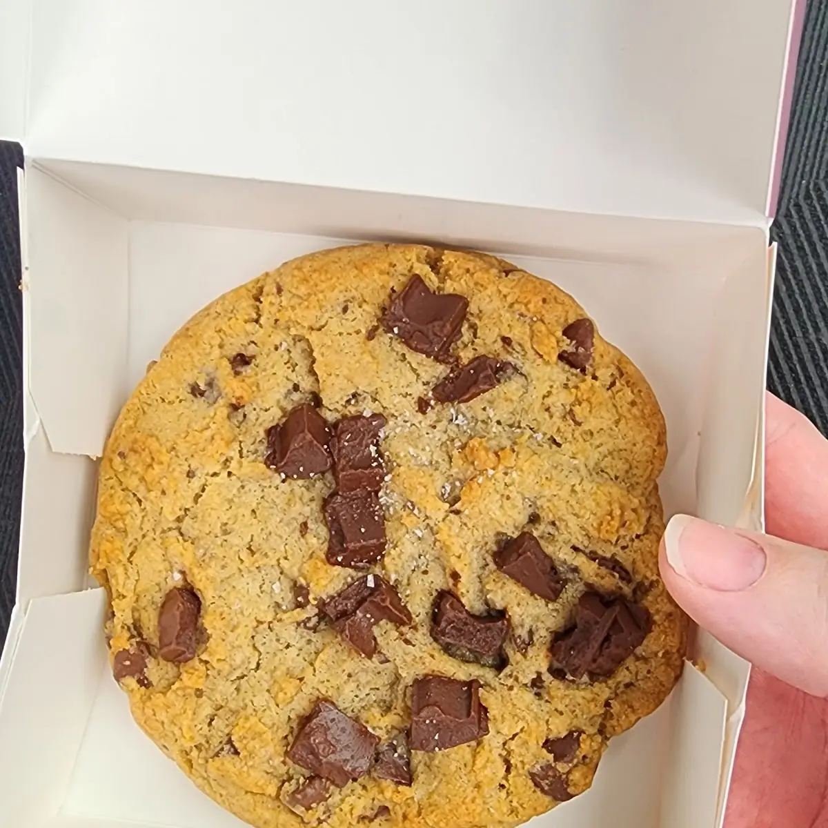 Chocolate Chip Cookie