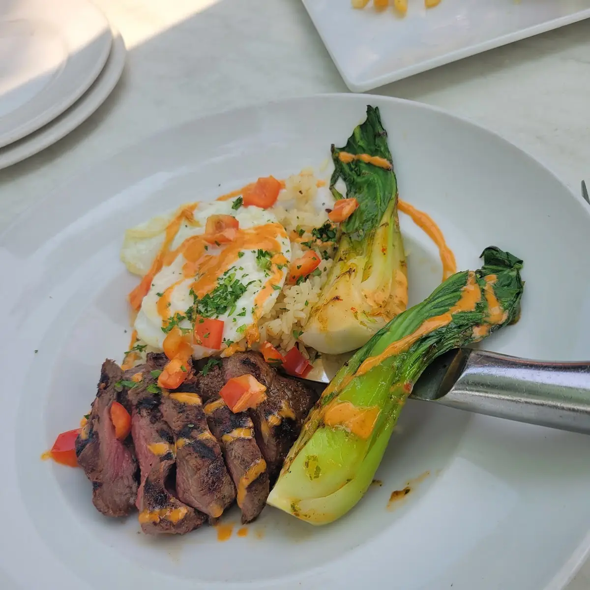 Steak Bowl