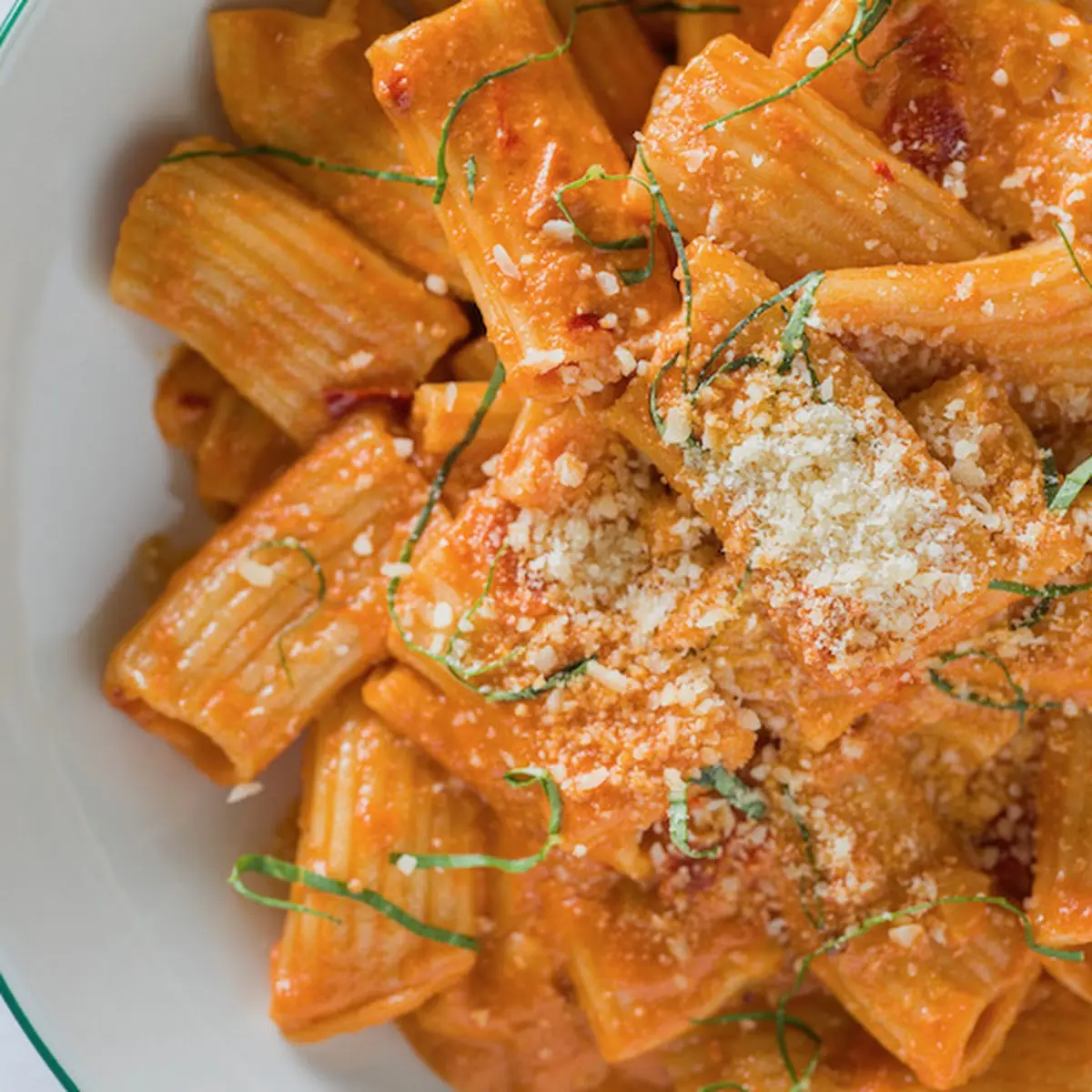 Rigatoni Spicy Vodka Sauce