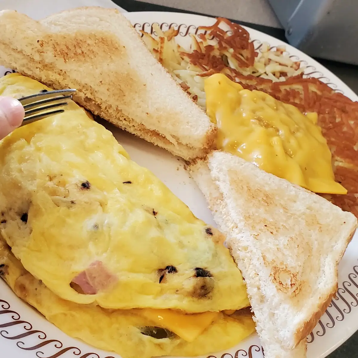 Western Omelette
