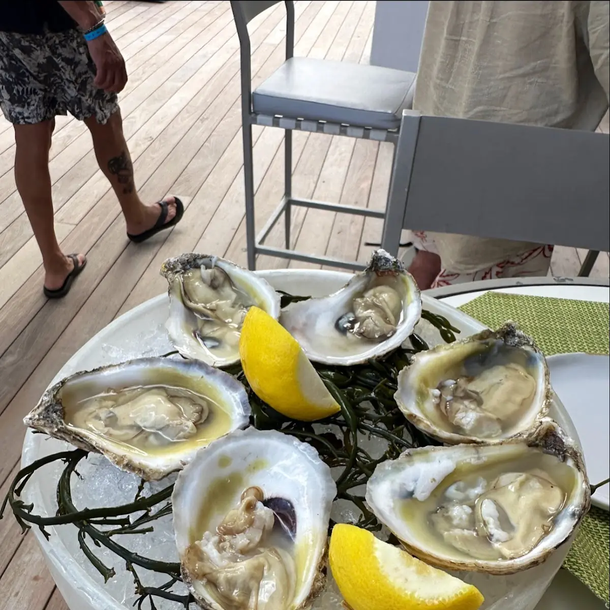 Oysters on the Half Shell