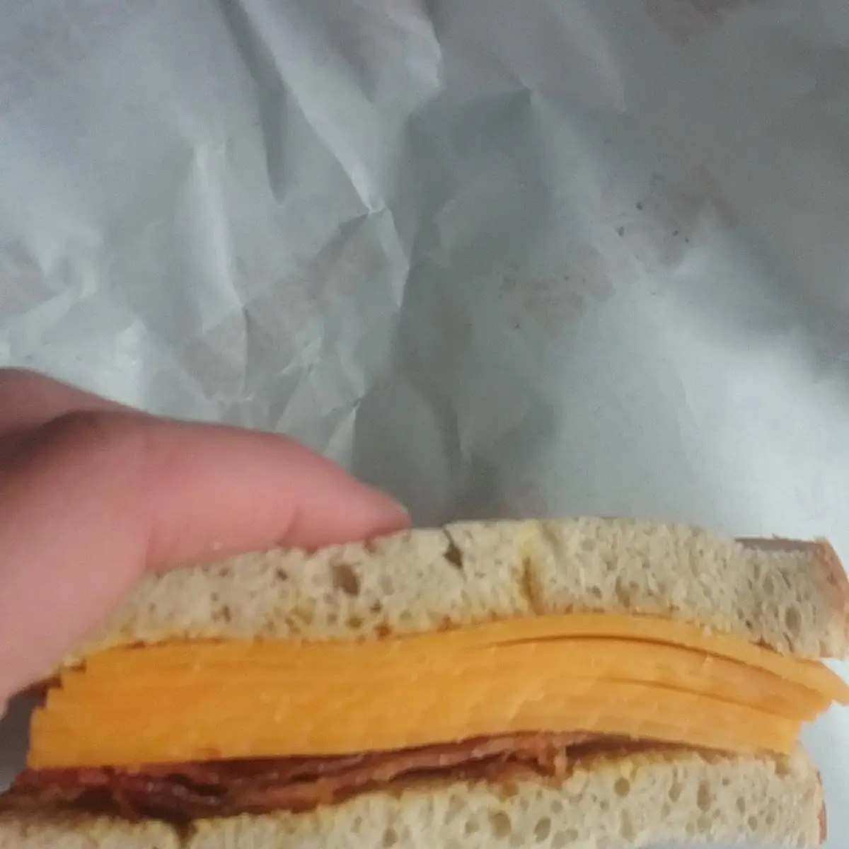 Bacon and Cheddar Cheese Sandwich