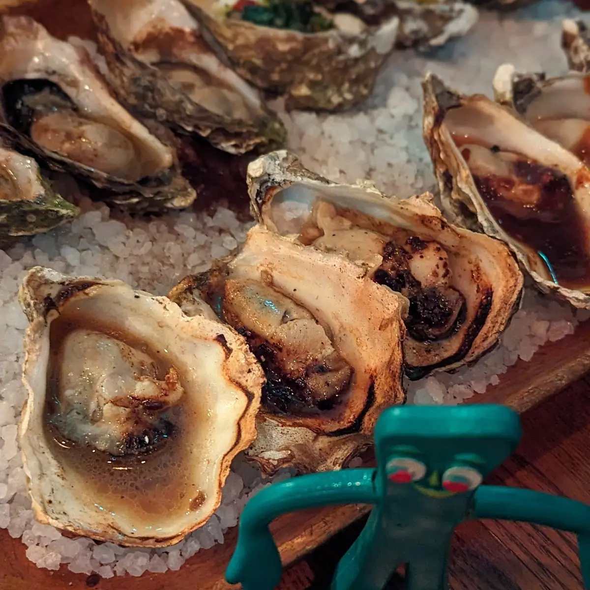 Grilled Humboldt Bay Oysters