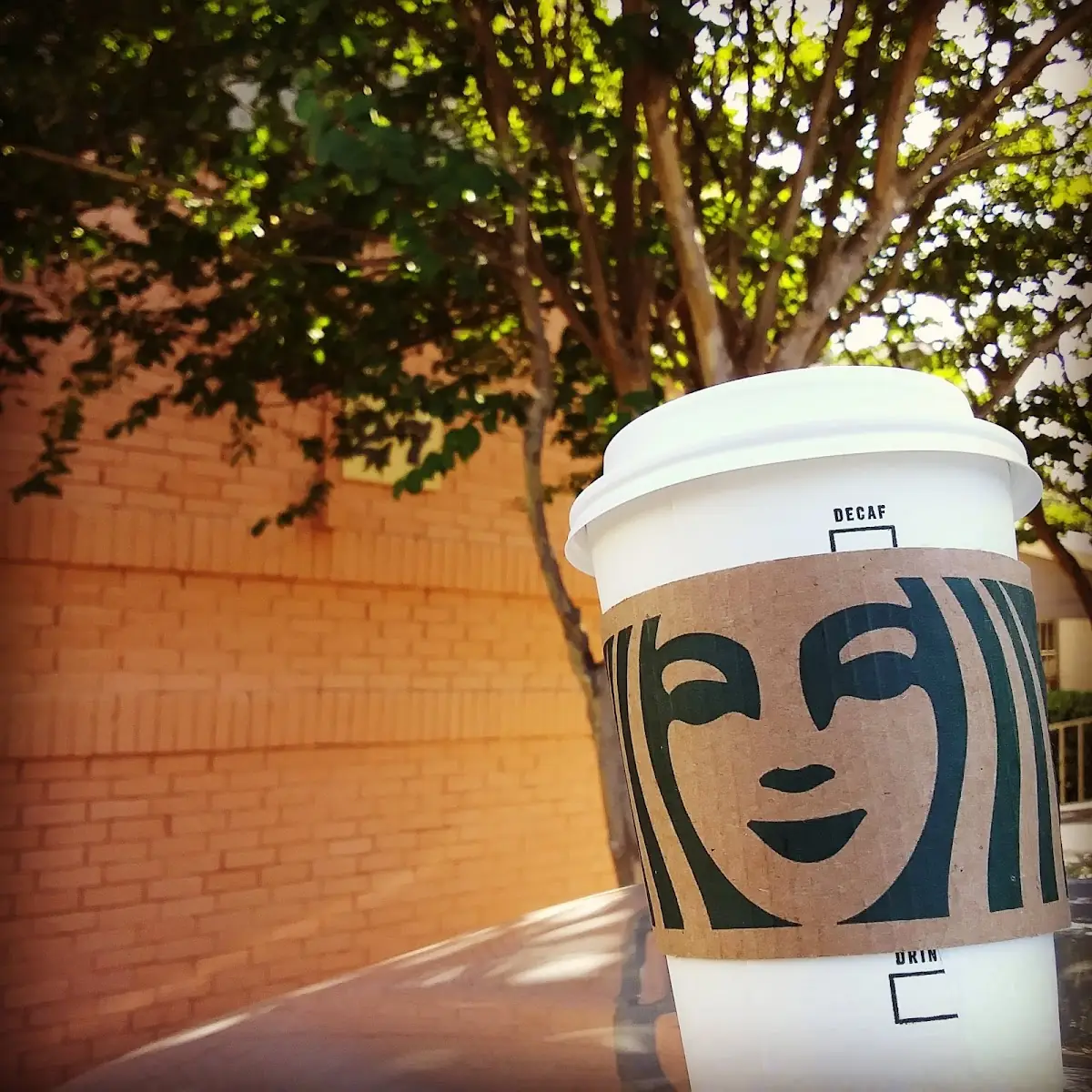 Starbucks Via Instant Pumpkin Spice Latte