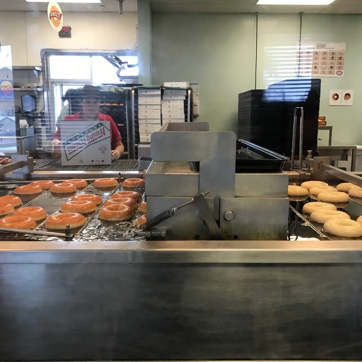 Classic Donuts