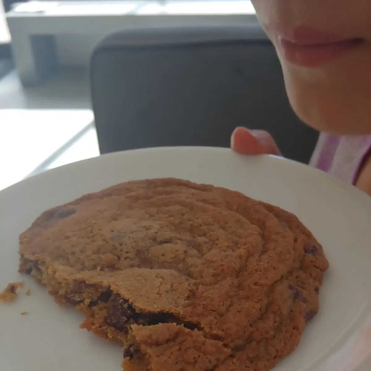 Chocolate Chip Cookie