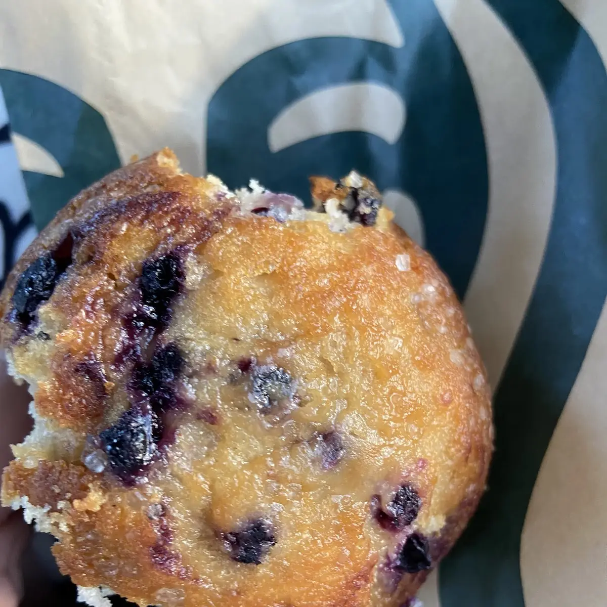 Blueberry Muffin
