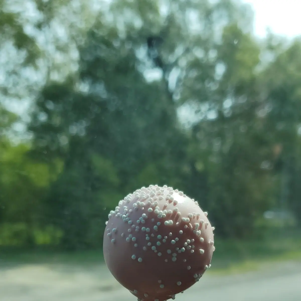 Cake Pop