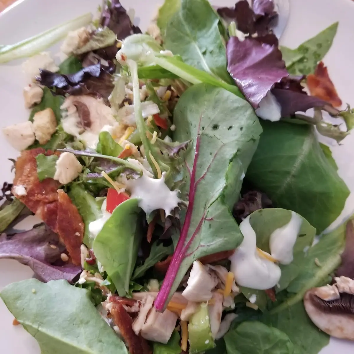 Salad