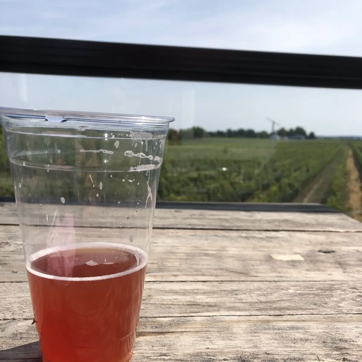 Highlights, Niagara Oast House Brewers