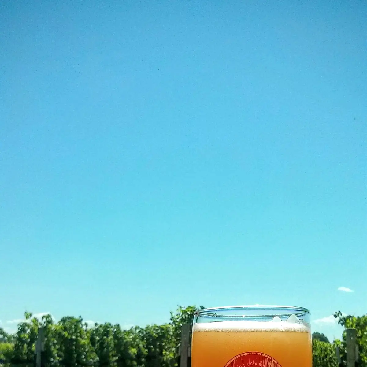 Strawberry Rhubarb, Niagara Oast House Brewers