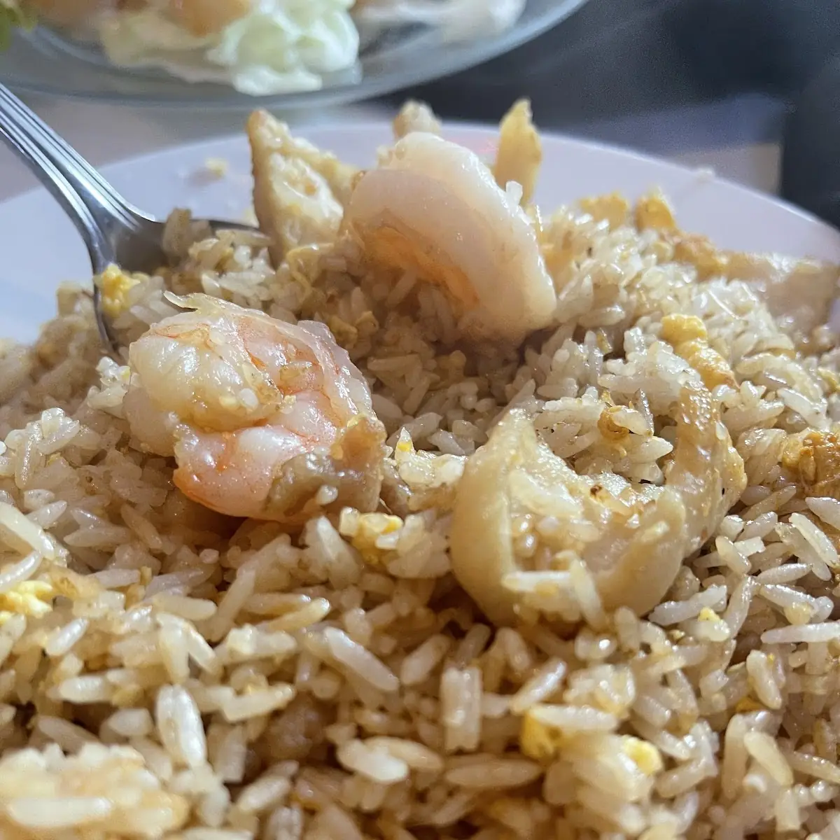 Combination Fried Rice