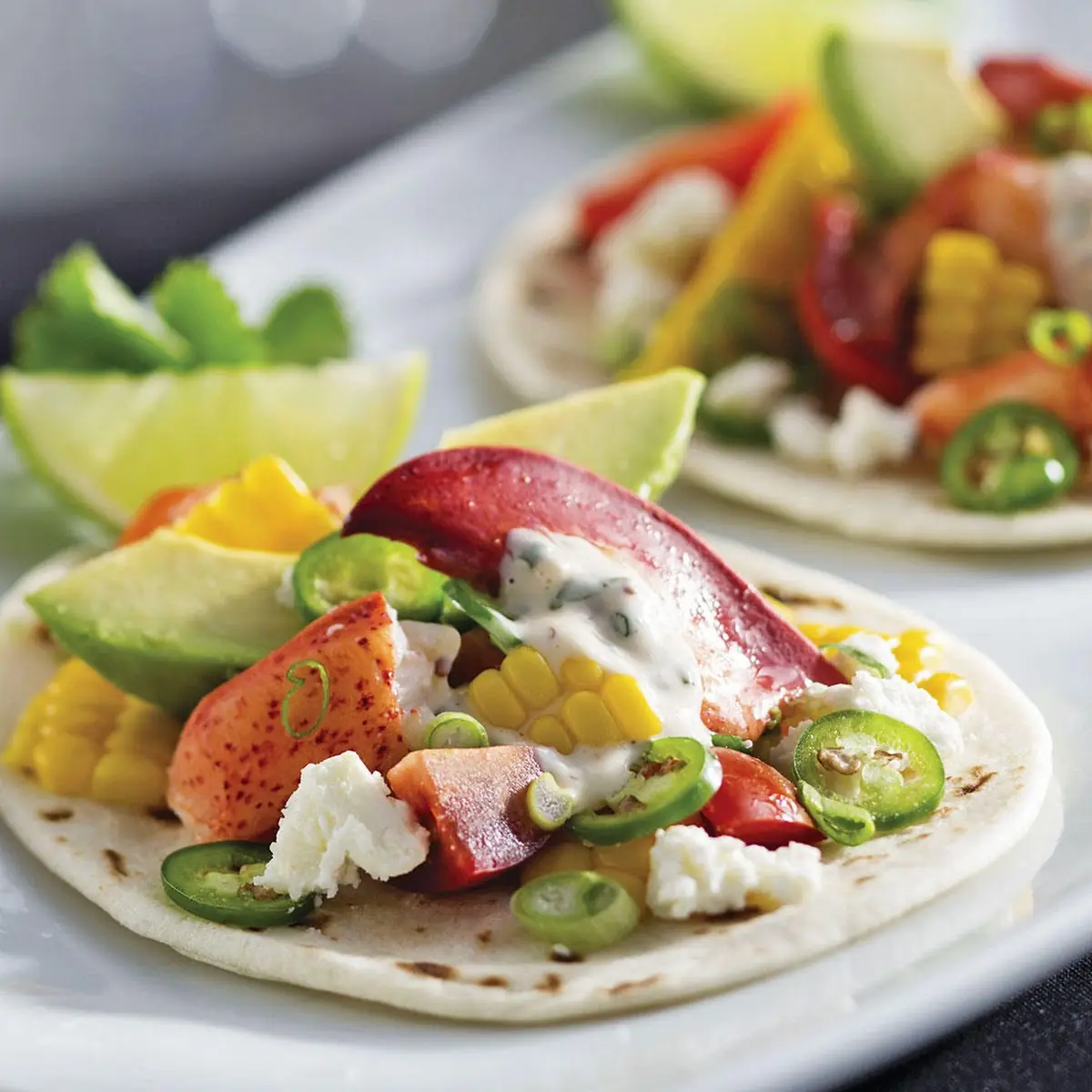 Maine Lobster Tacos