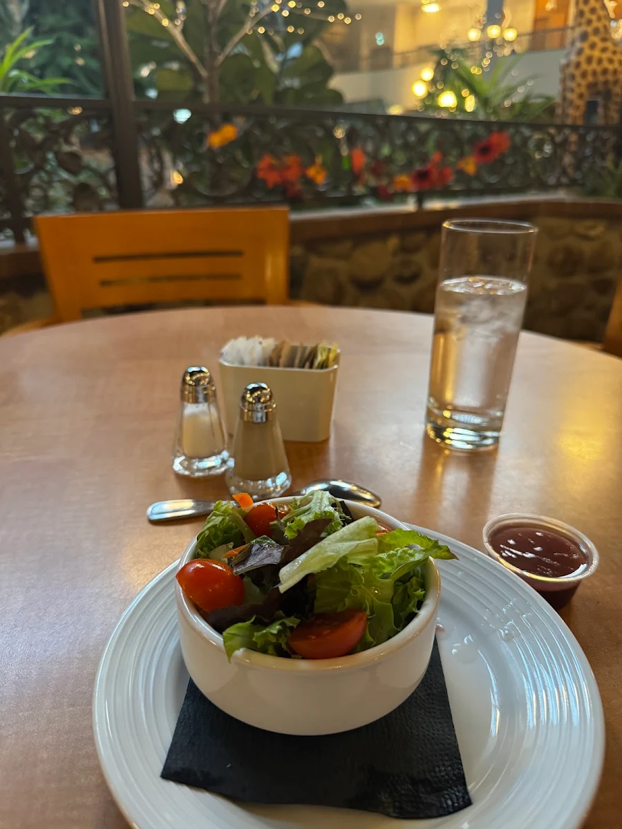 Side Garden Salad