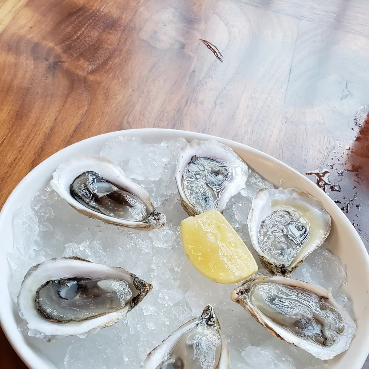 Dozen Oysters